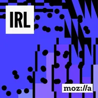 IRL: Online Life is Real Life artwork