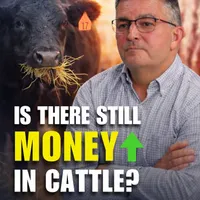 Farm4Profit Podcast artwork