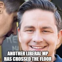 PolitiCoast artwork