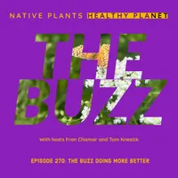 Native Plants, Healthy Planet artwork