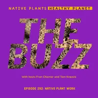 Native Plants, Healthy Planet artwork
