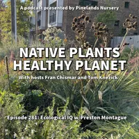 Native Plants, Healthy Planet artwork