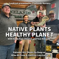 Native Plants, Healthy Planet artwork