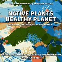 Native Plants, Healthy Planet artwork