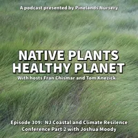Native Plants, Healthy Planet artwork