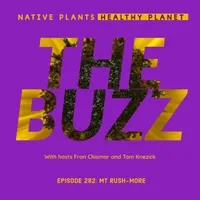 Native Plants, Healthy Planet artwork