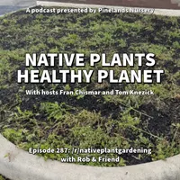 Native Plants, Healthy Planet artwork