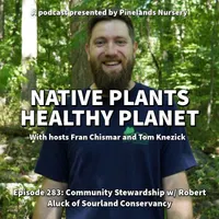 Native Plants, Healthy Planet artwork