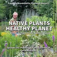 Native Plants, Healthy Planet artwork