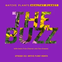 Native Plants, Healthy Planet artwork