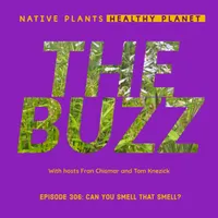Native Plants, Healthy Planet artwork