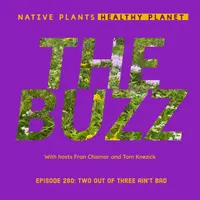 Native Plants, Healthy Planet artwork