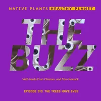 Native Plants, Healthy Planet artwork