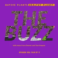 Native Plants, Healthy Planet artwork