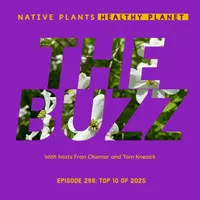 Native Plants, Healthy Planet artwork