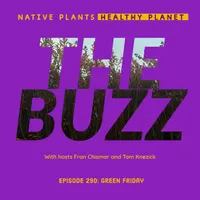 Native Plants, Healthy Planet artwork