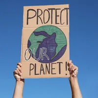 Sustainable Minimalists artwork