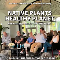 Native Plants, Healthy Planet artwork