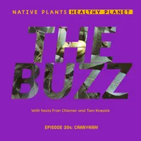 Native Plants, Healthy Planet artwork