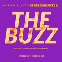 Native Plants, Healthy Planet artwork