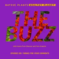 Native Plants, Healthy Planet artwork