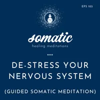 Somatic Healing Meditations artwork