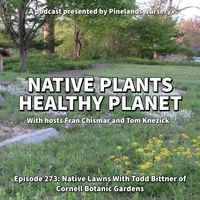Native Plants, Healthy Planet artwork