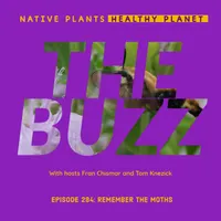 Native Plants, Healthy Planet artwork
