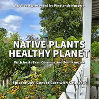 Native Plants, Healthy Planet artwork
