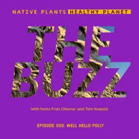 Native Plants, Healthy Planet artwork