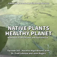 Native Plants, Healthy Planet artwork