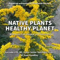 Native Plants, Healthy Planet artwork