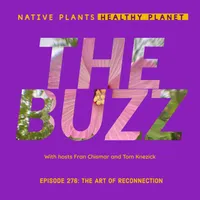 Native Plants, Healthy Planet artwork