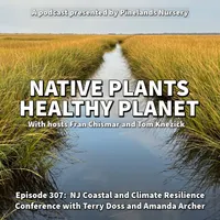 Native Plants, Healthy Planet artwork