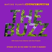 Native Plants, Healthy Planet artwork