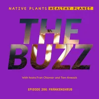 Native Plants, Healthy Planet artwork