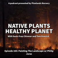 Native Plants, Healthy Planet artwork