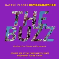 Native Plants, Healthy Planet artwork