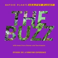 Native Plants, Healthy Planet artwork