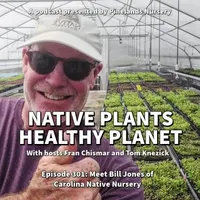 Native Plants, Healthy Planet artwork