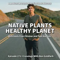 Native Plants, Healthy Planet artwork