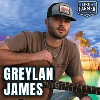 Like a Farmer artwork