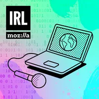 IRL: Online Life is Real Life artwork