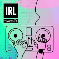 IRL: Online Life is Real Life artwork