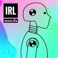 IRL: Online Life is Real Life artwork