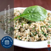 Recipe of the Day - Cure Your Dinner Indecision artwork