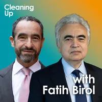 Cleaning Up: Leadership in an Age of Climate Change artwork