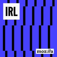 IRL: Online Life is Real Life artwork