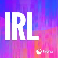 IRL: Online Life is Real Life artwork