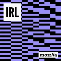 IRL: Online Life is Real Life artwork